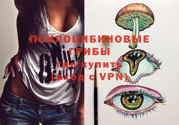 стафф Армянск